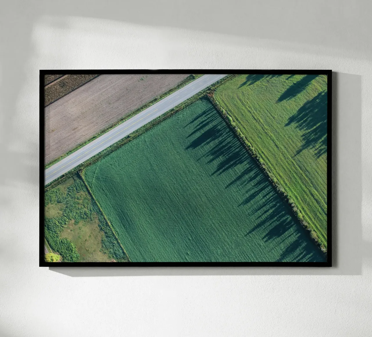agriculture rectangles carta hahnemühle da animal story home