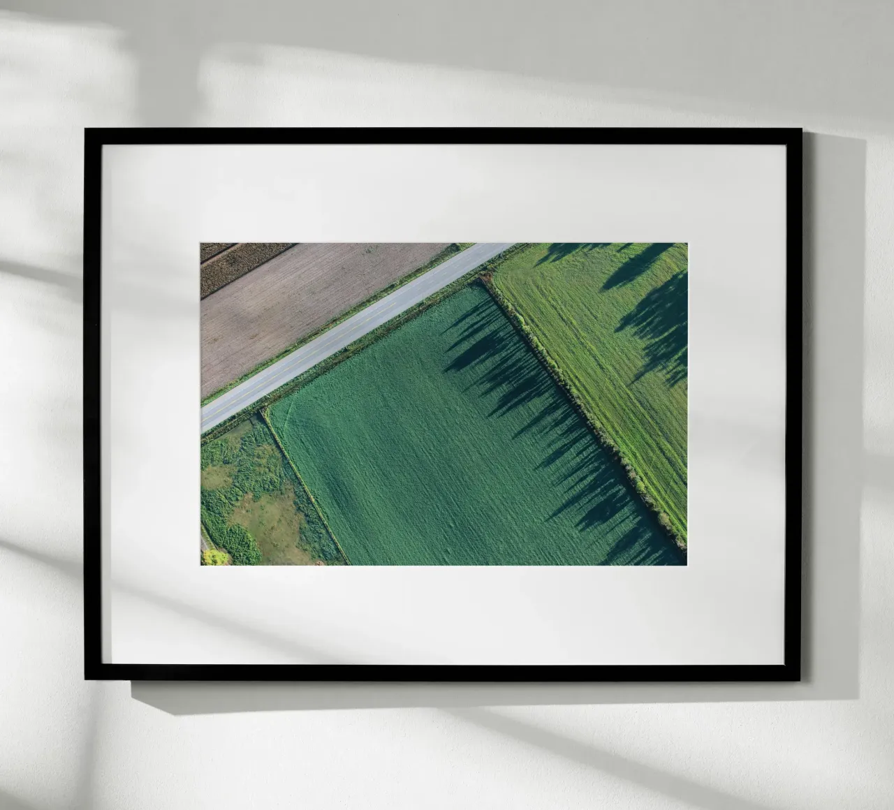 agriculture rectangles carta hahnemühle da animal story home
