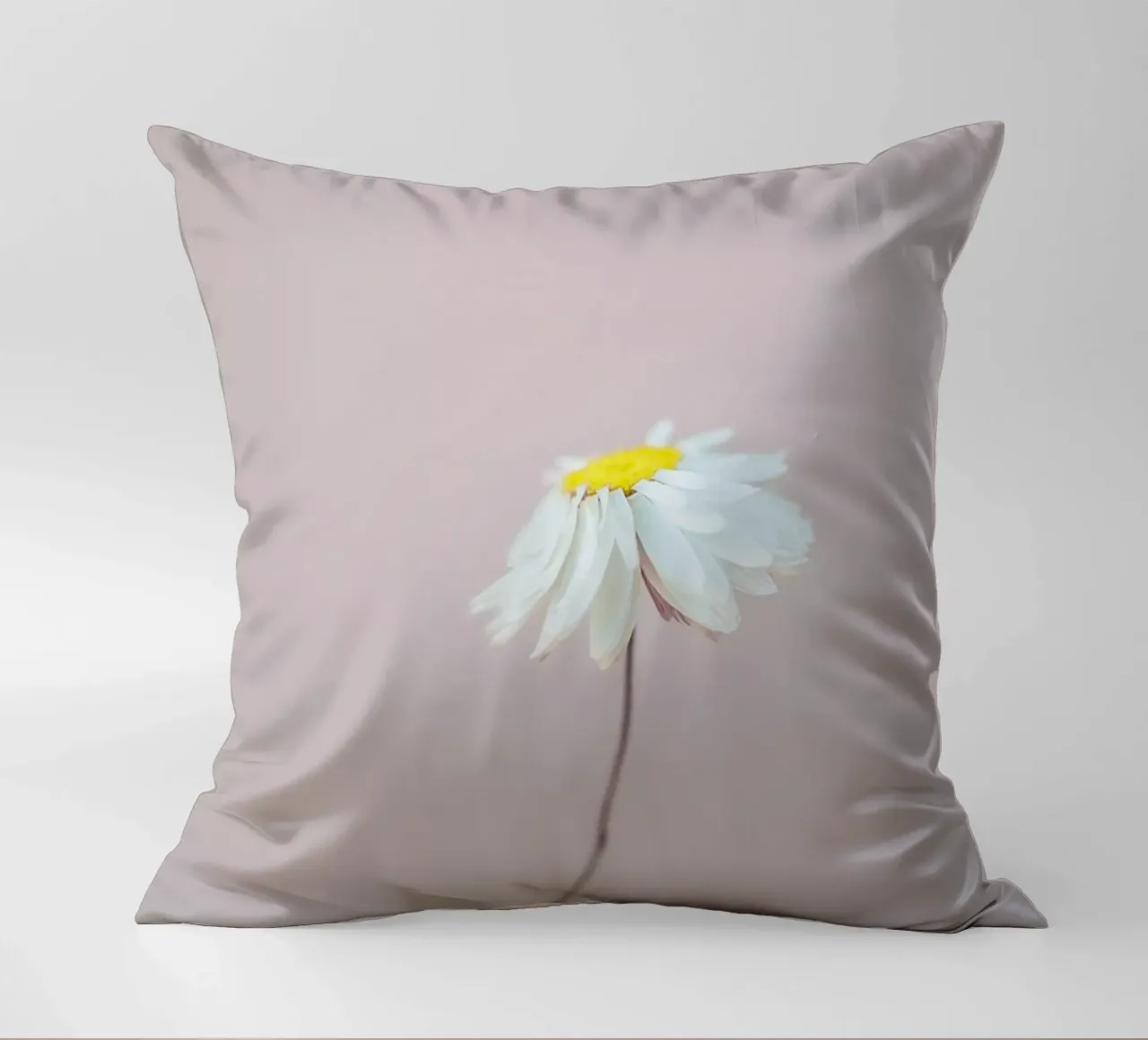 Fragile 1 Kissen von Mareike Böhmer Photography