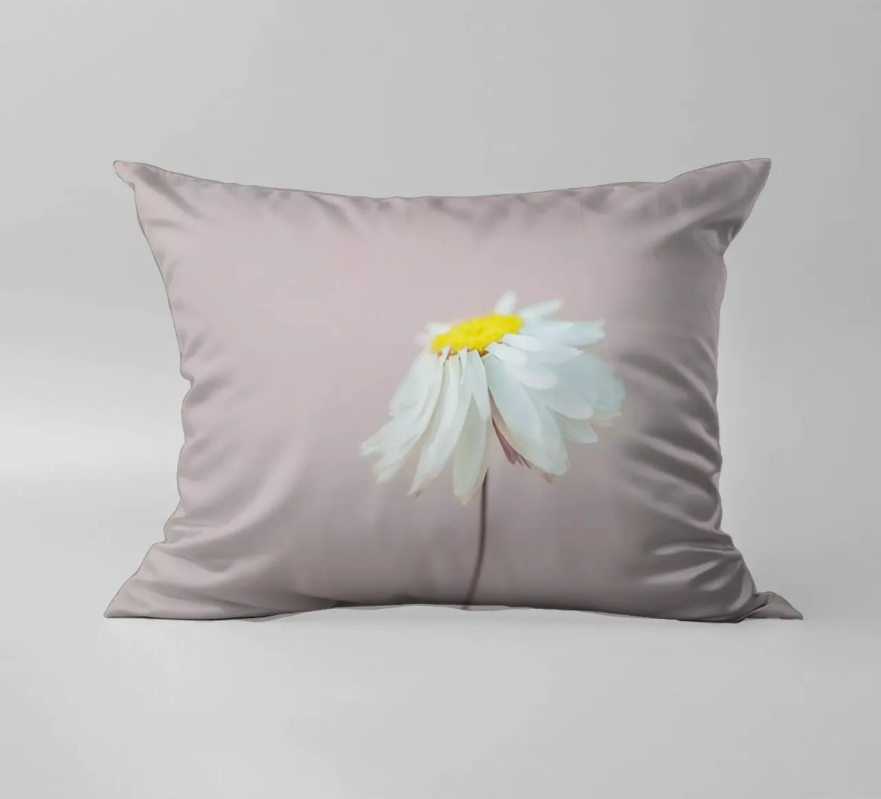 Fragile 1 Kissen von Mareike Böhmer Photography