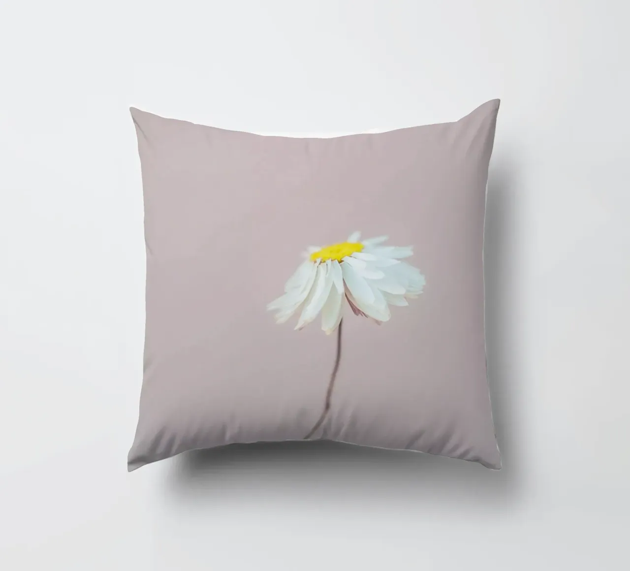 Fragile 1 Kissen von Mareike Böhmer Photography