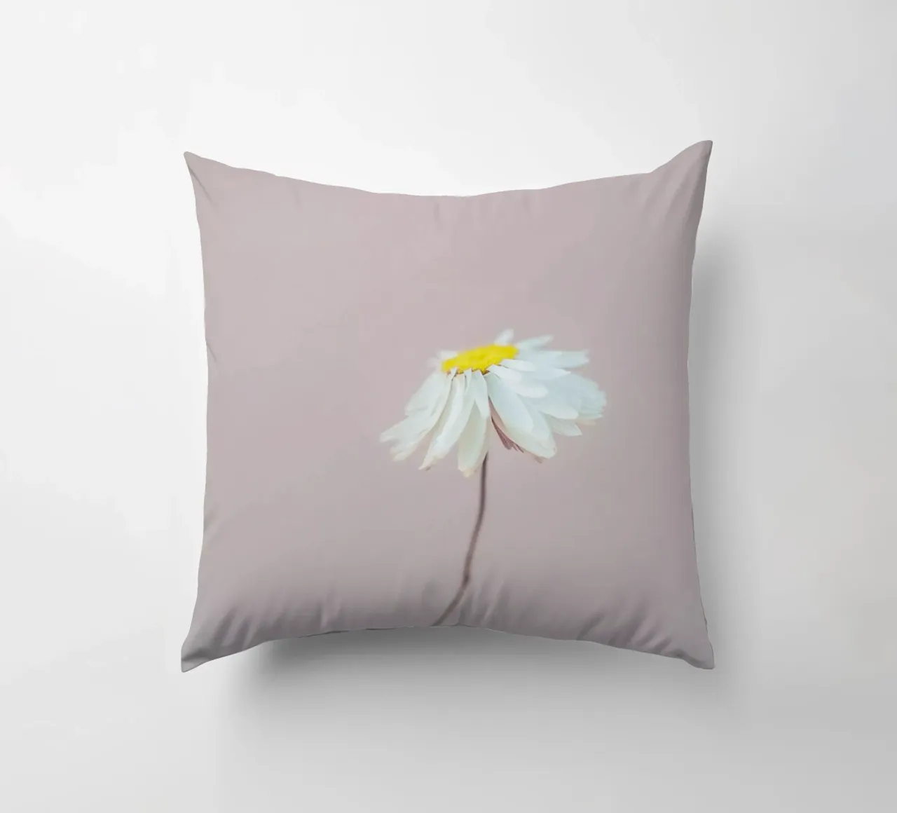 Fragile 1 Kissen von Mareike Böhmer Photography