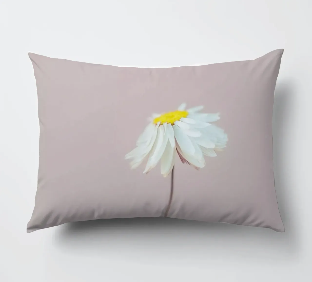 Fragile 1 Kissen von Mareike Böhmer Photography