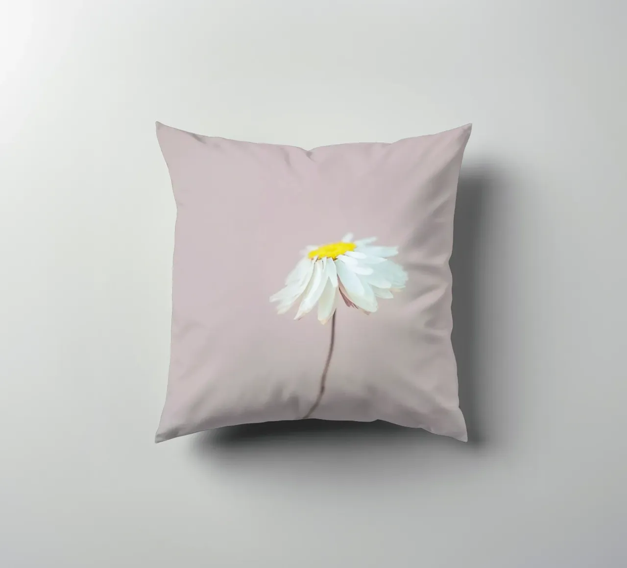 Fragile 1 Kissen von Mareike Böhmer Photography