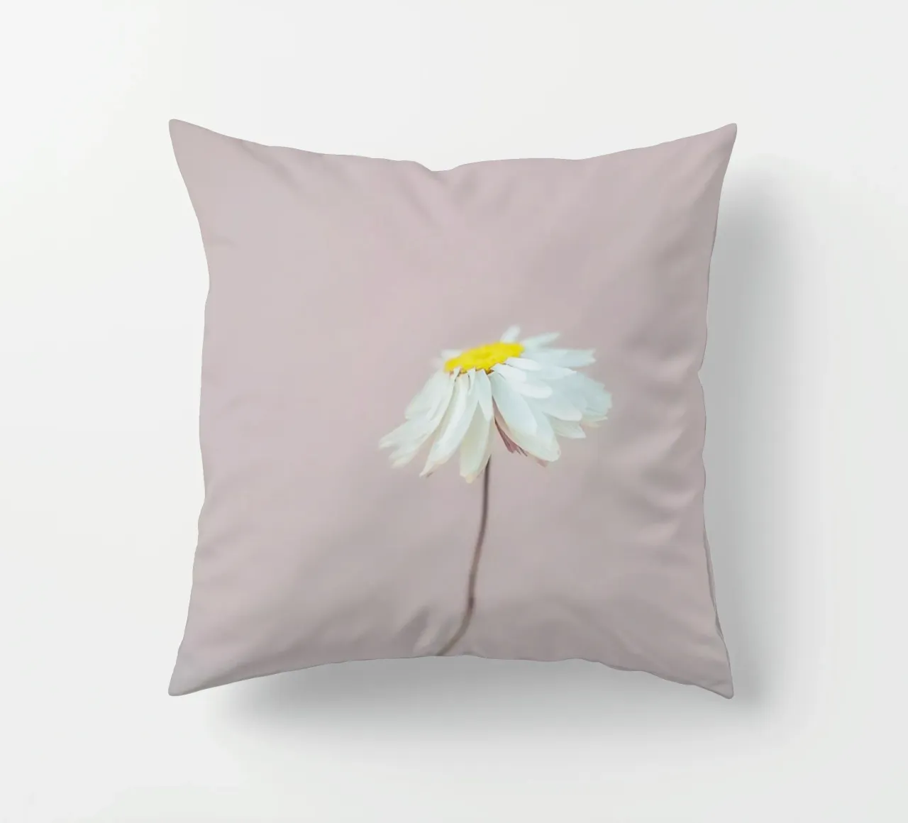 Fragile 1 Kissen von Mareike Böhmer Photography