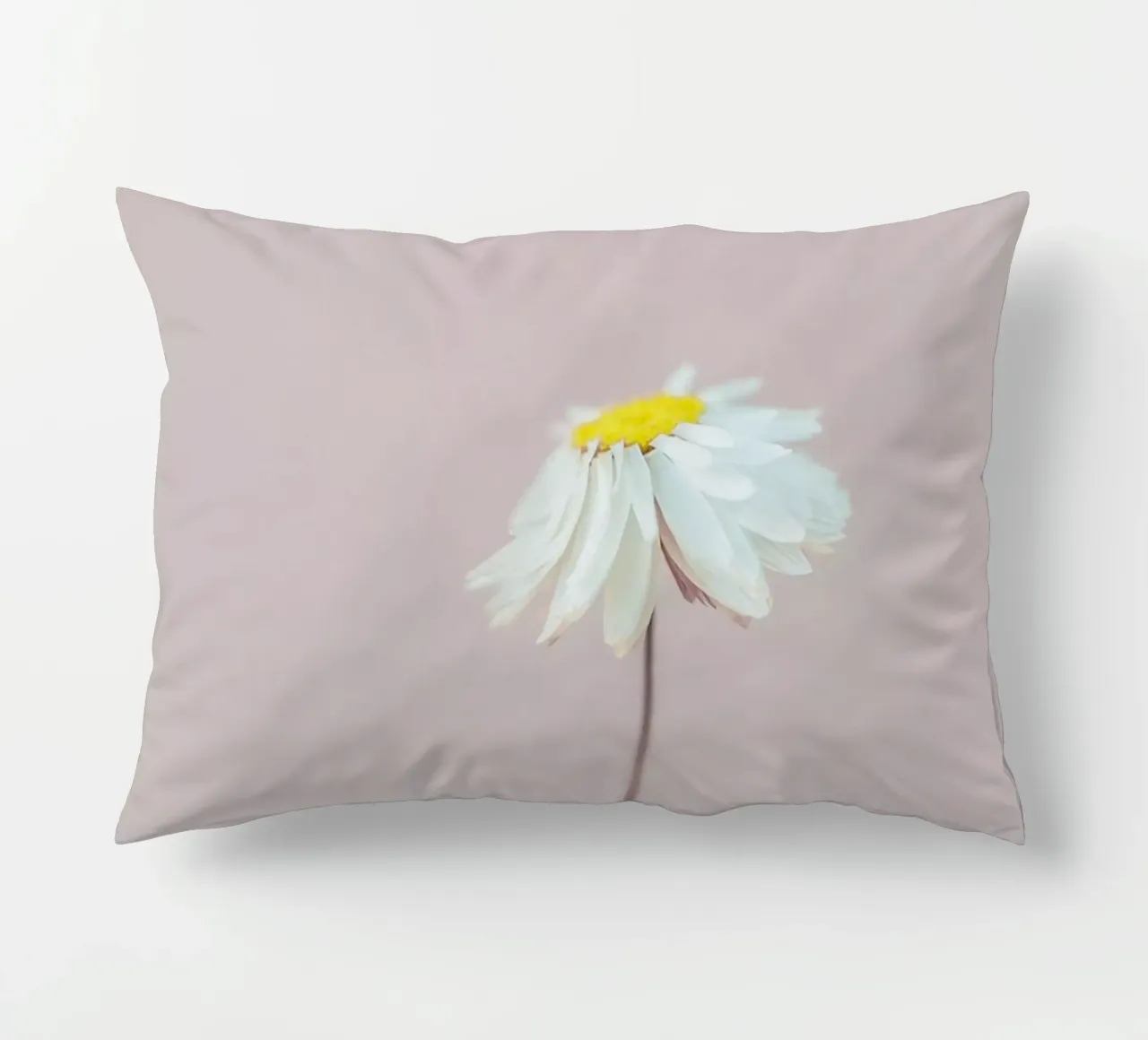 Fragile 1 Kissen von Mareike Böhmer Photography