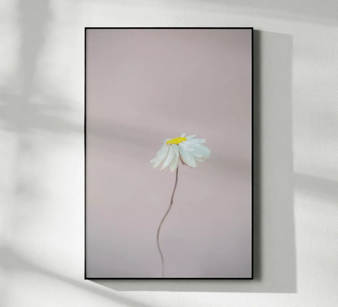 Fragile 1 acryl van Mareike Böhmer Photography