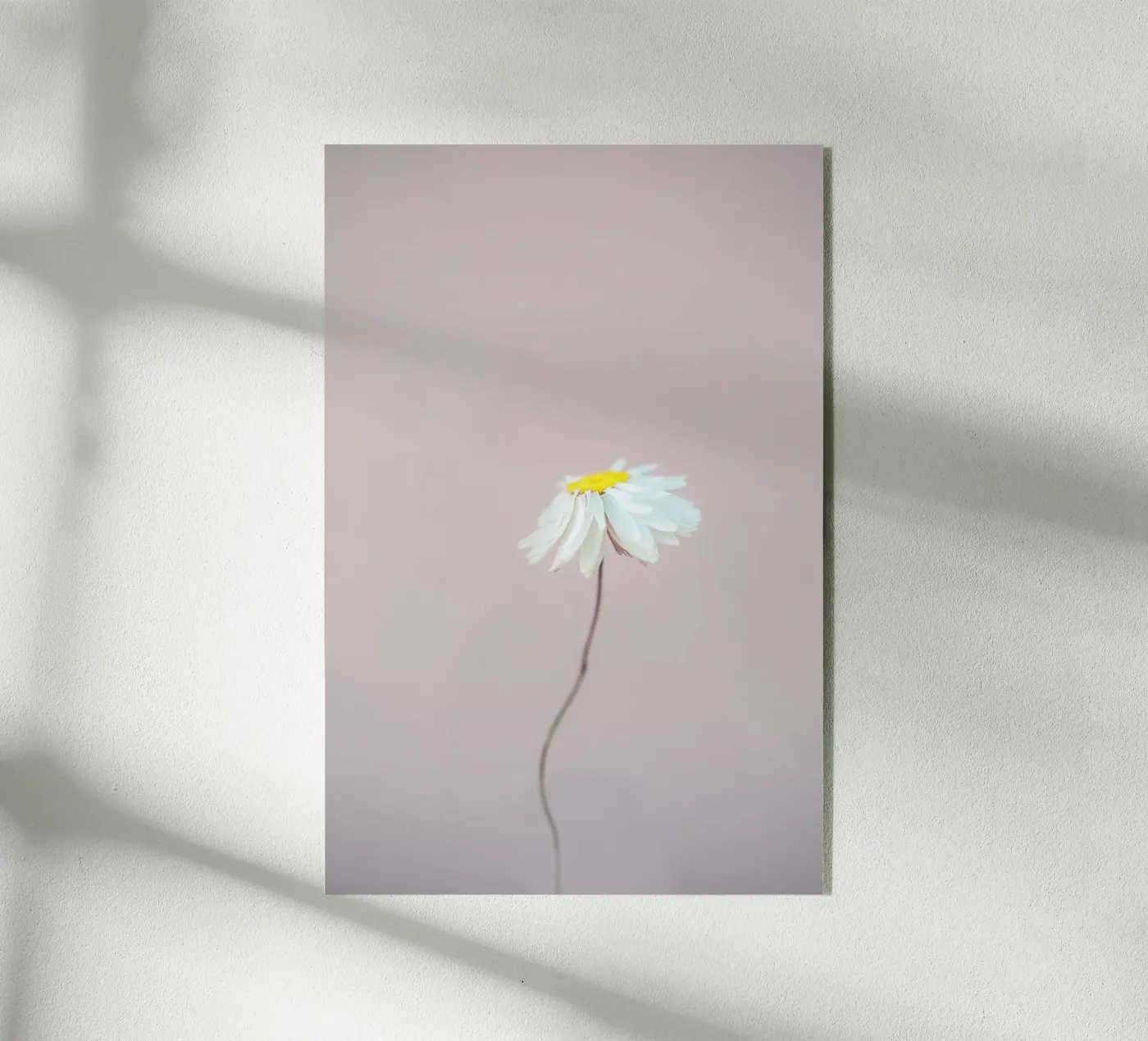 Fragile 1 acryl van Mareike Böhmer Photography