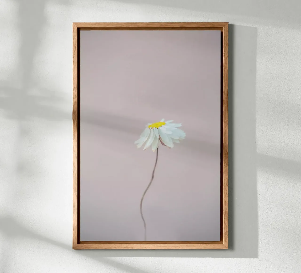 Fragile 1 alluminio dibond da Mareike Böhmer Photography