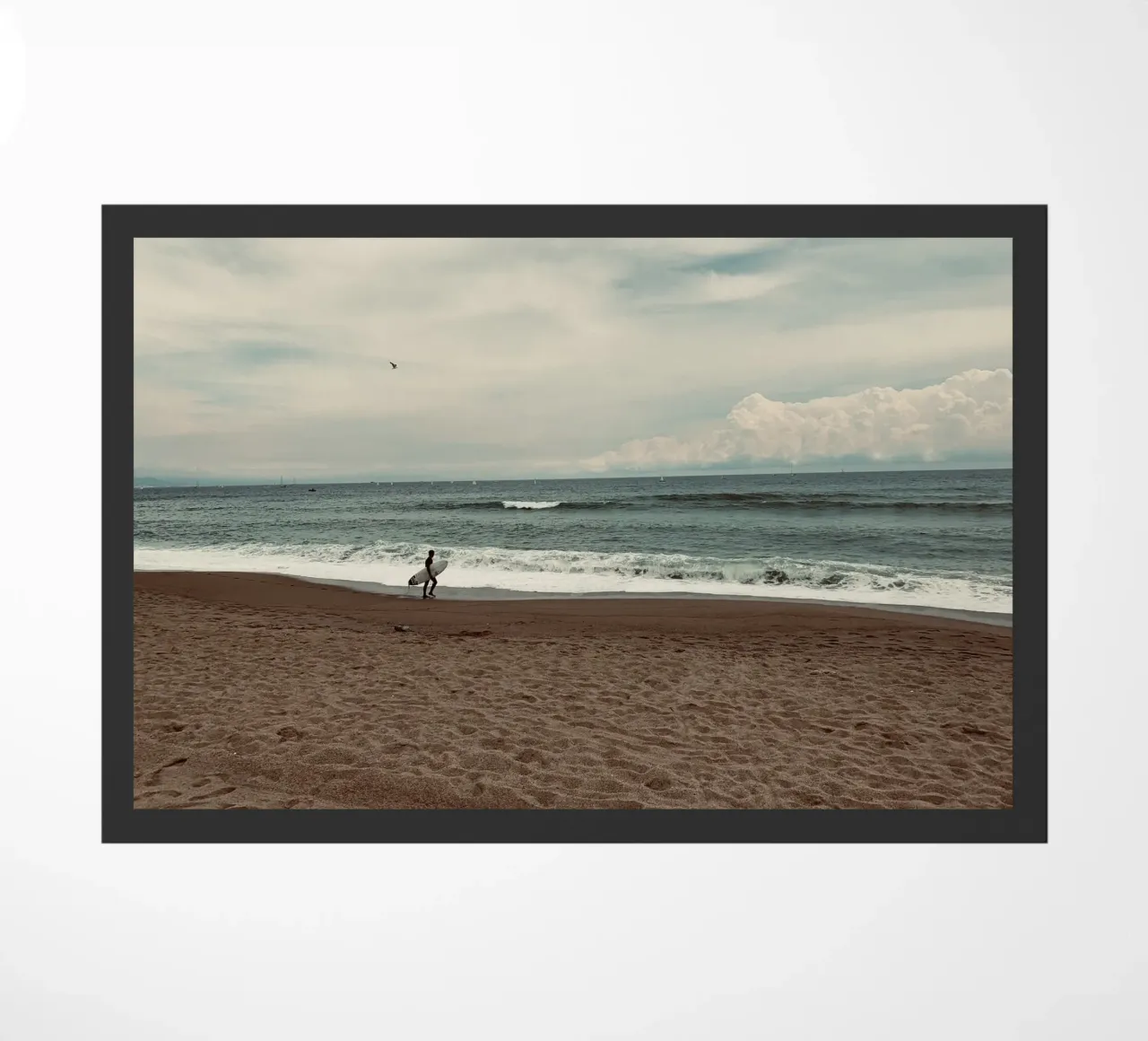 Last wave zerbino da Löwenzahntiger