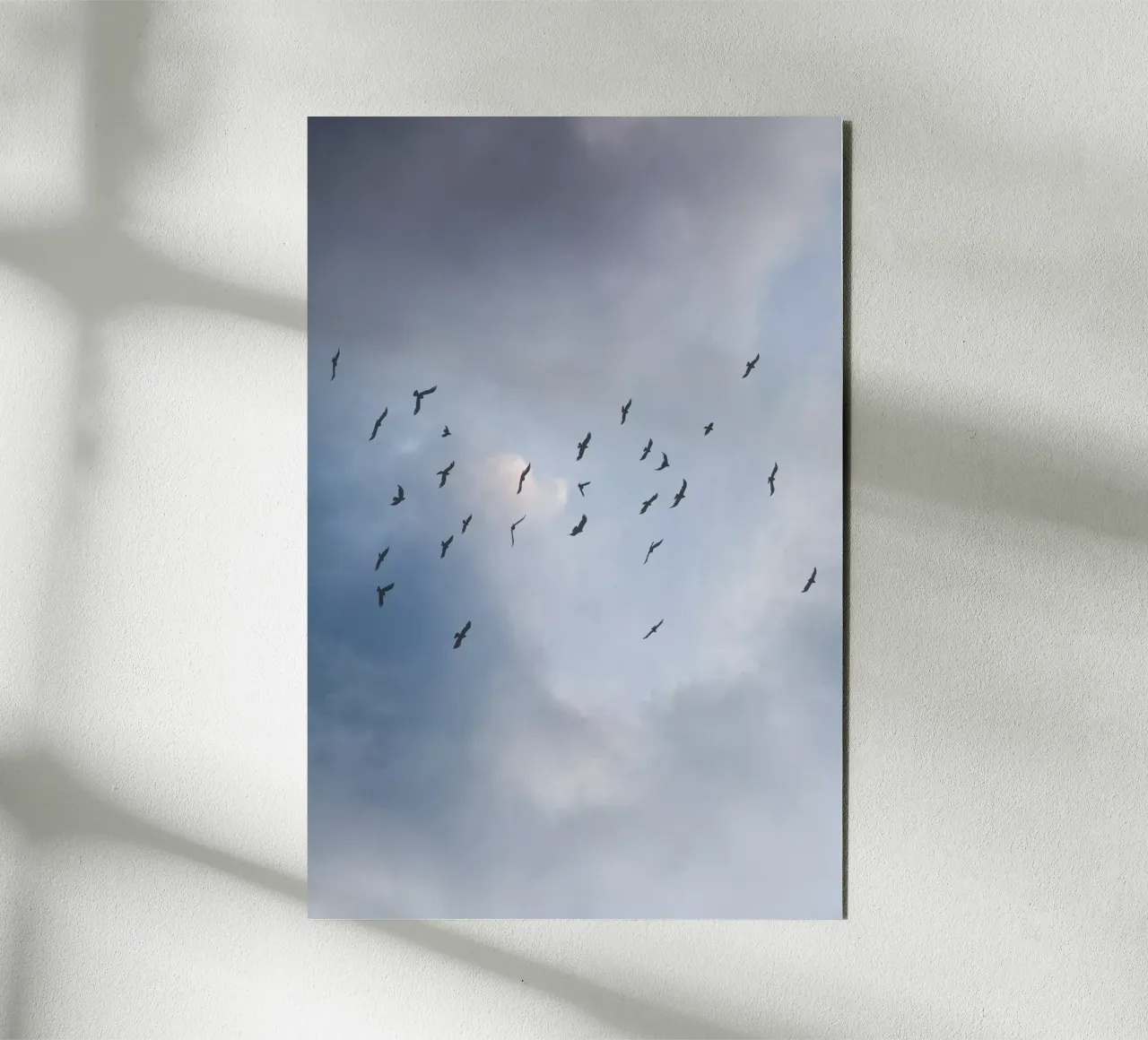 Free As A Bird 1 Alu-Dibond von Mareike Böhmer Photography