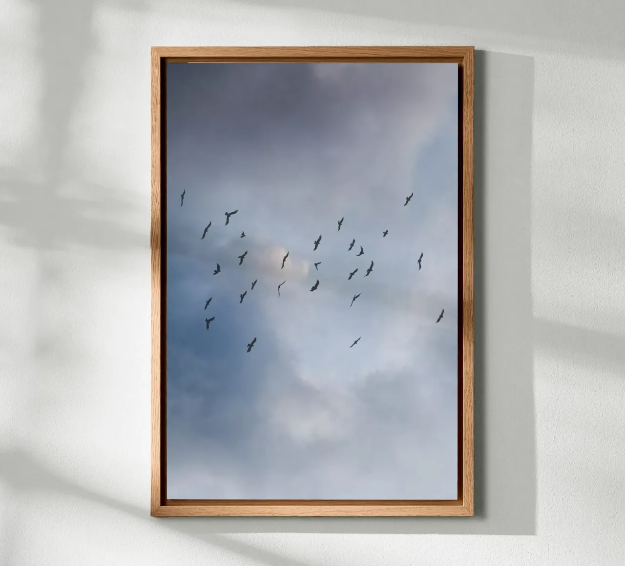 Free As A Bird 1 tela con Cornice a cassetta da Mareike Böhmer Photography