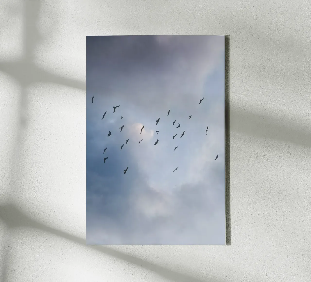 Free As A Bird 1 tela con Cornice a cassetta da Mareike Böhmer Photography