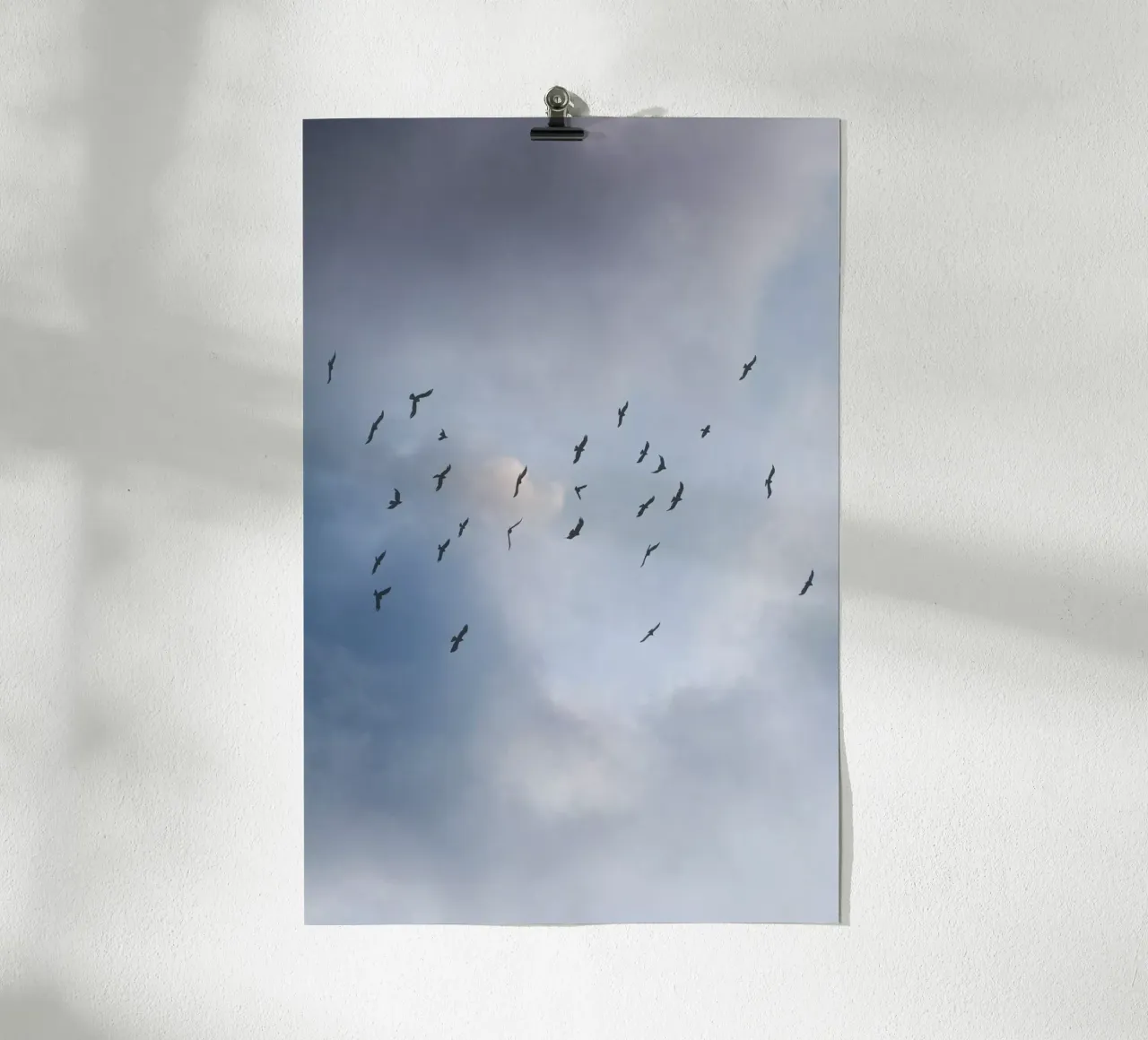 Free As A Bird 1 Poster von Mareike Böhmer Photography