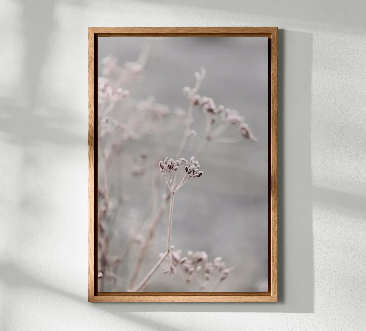 Frosty Morning 3 alluminio dibond da Mareike Böhmer Photography