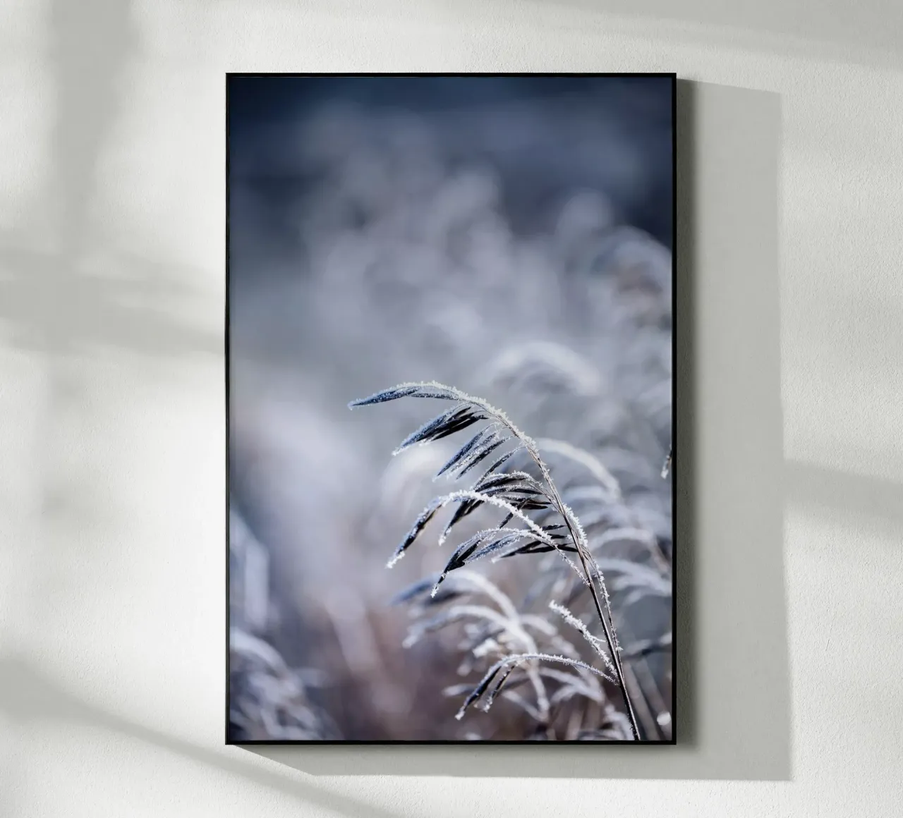 Frosty Morning 5 Acryl-Glas von Mareike Böhmer Photography