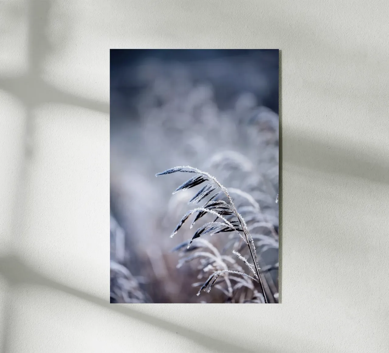 Frosty Morning 5 Acryl-Glas von Mareike Böhmer Photography