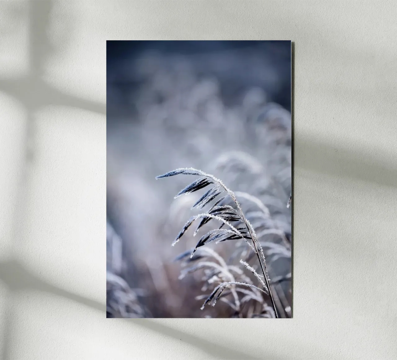 Frosty Morning 5 Forex-Platte von Mareike Böhmer Photography