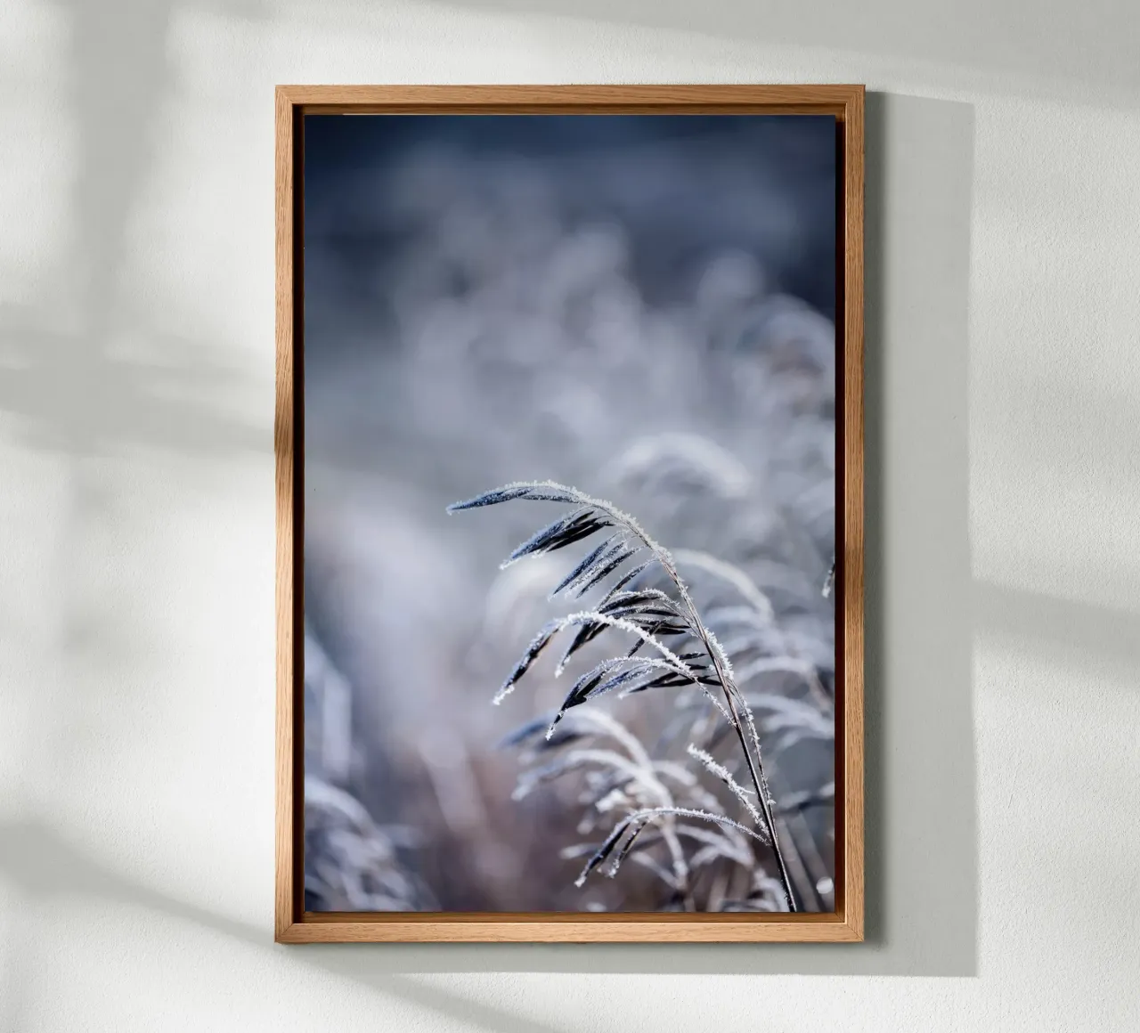 Frosty Morning 5 Leinwand von Mareike Böhmer Photography