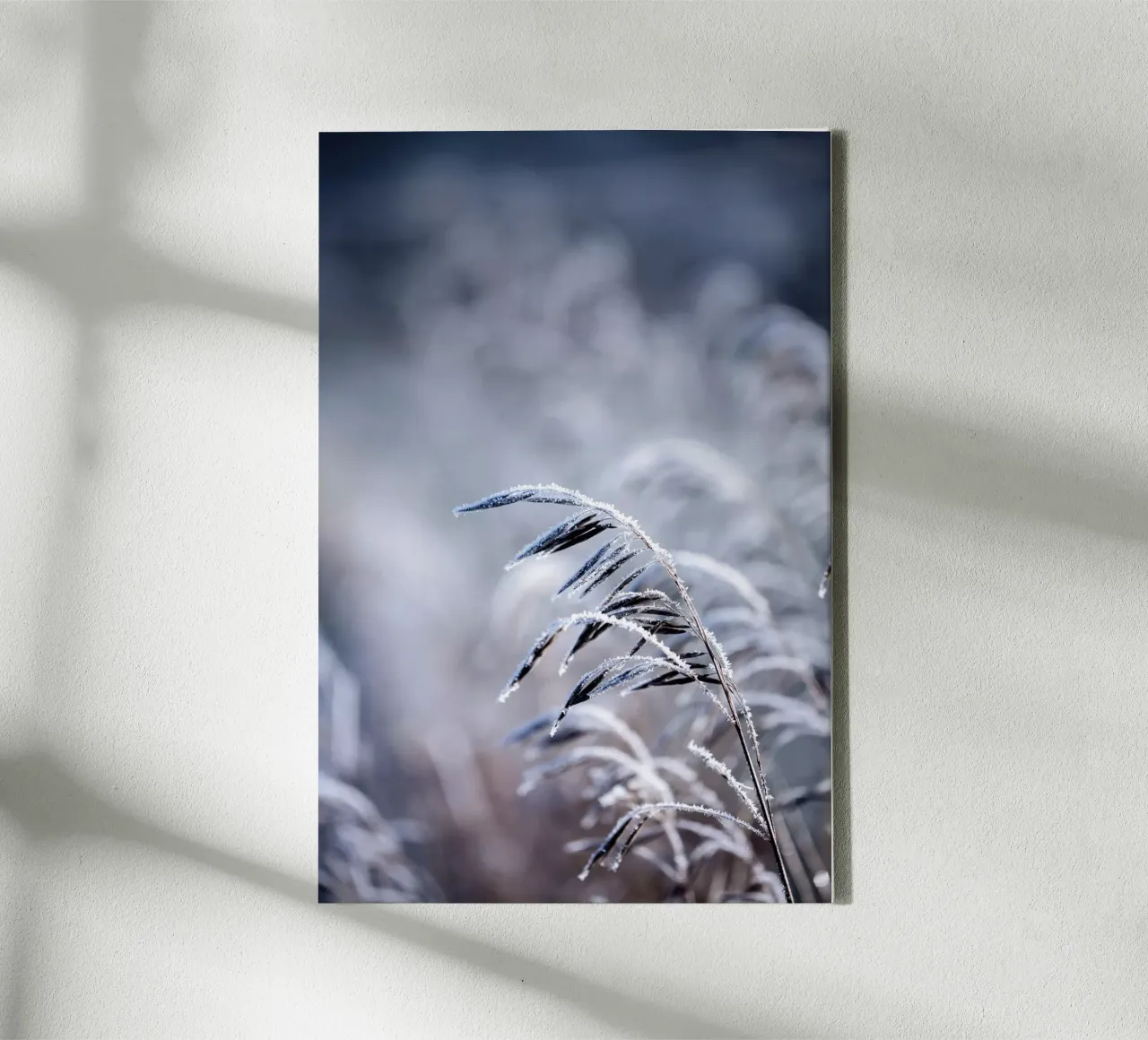 Frosty Morning 5 Leinwand von Mareike Böhmer Photography