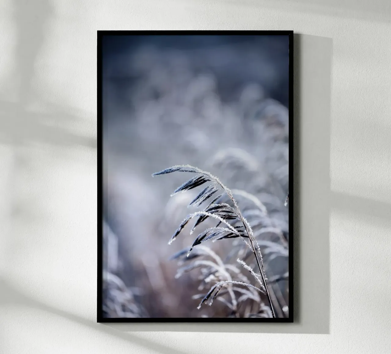 Frosty Morning 5 Poster von Mareike Böhmer Photography