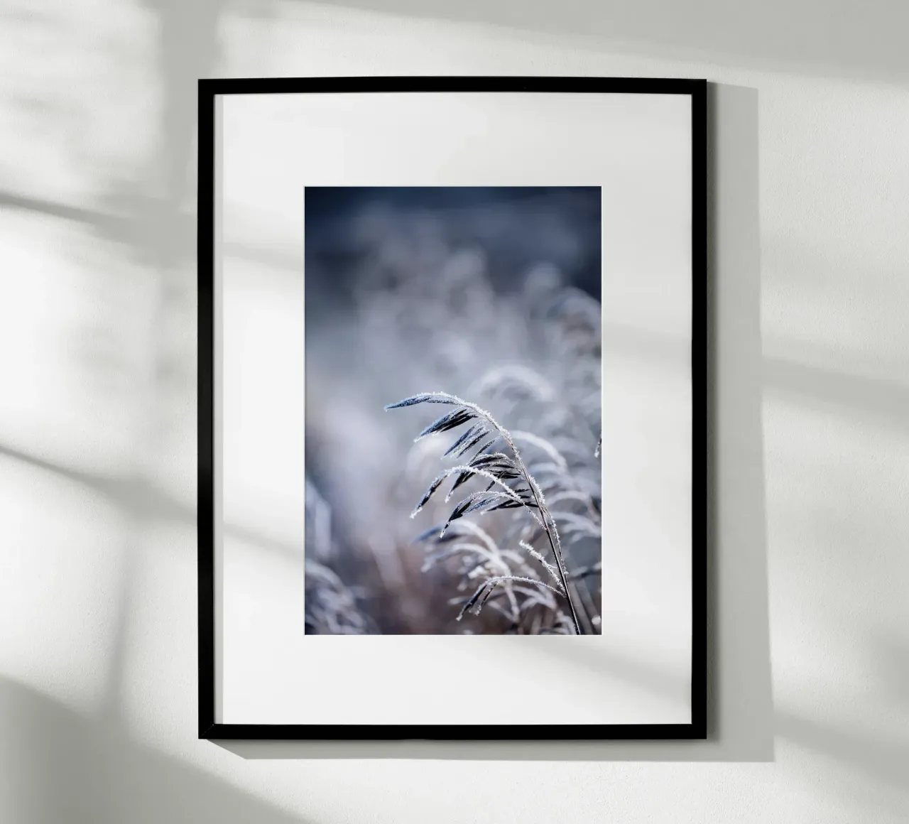 Frosty Morning 5 Poster von Mareike Böhmer Photography