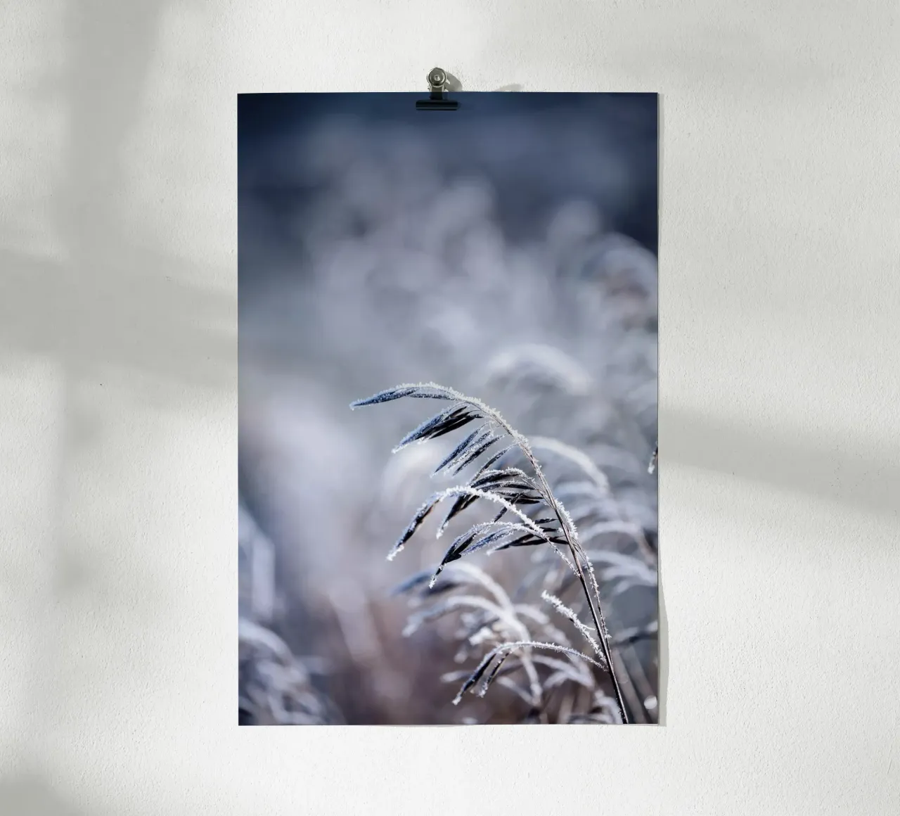 Frosty Morning 5 Poster von Mareike Böhmer Photography