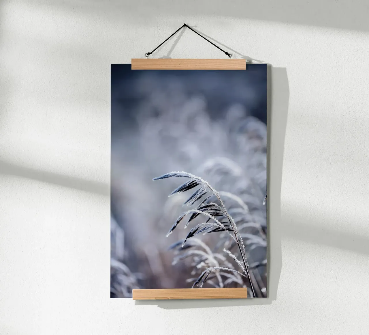 Frosty Morning 5 Poster von Mareike Böhmer Photography
