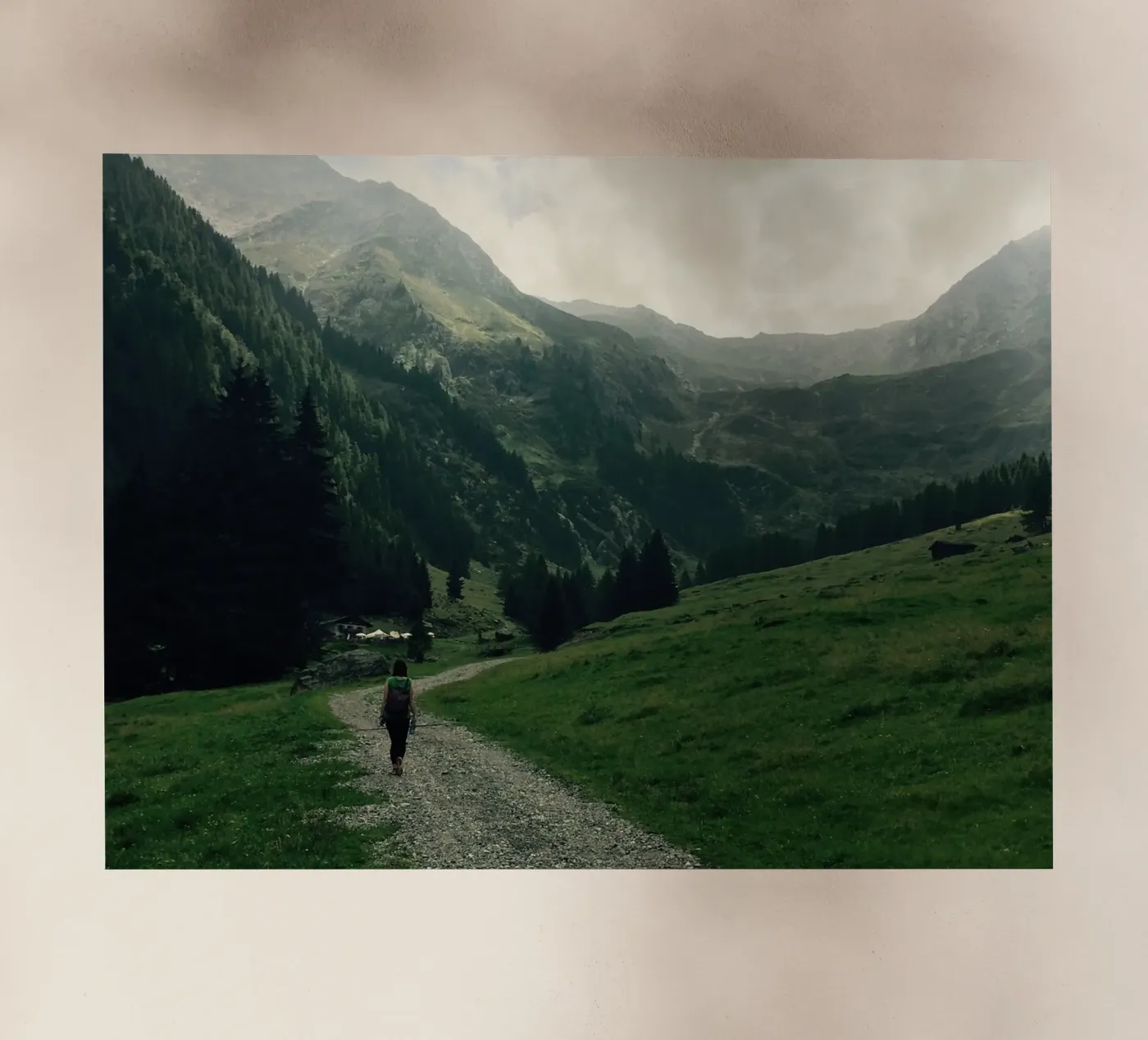 Back down backlit folie van Löwenzahntiger