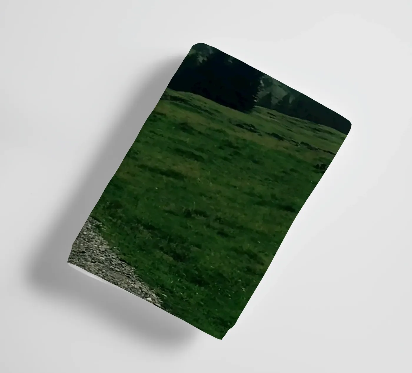 Back down Handtuch von Löwenzahntiger