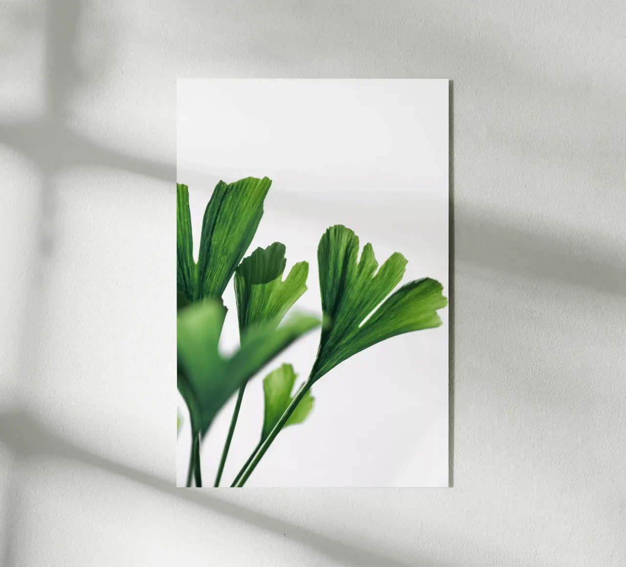 Ginko 4 plexiglass da Mareike Böhmer Photography