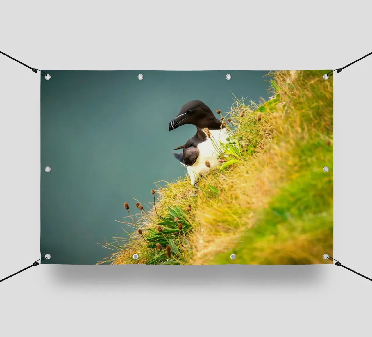 uccello erba telo in pvc da Earthly Visions
