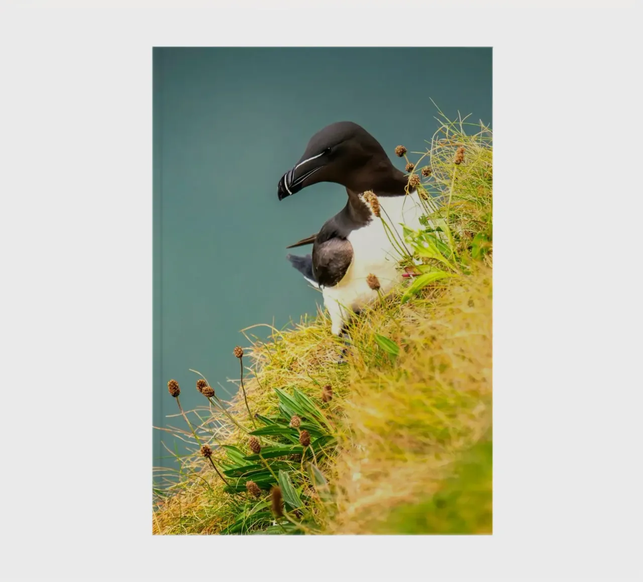 bird grass notebook by Earthly Visions