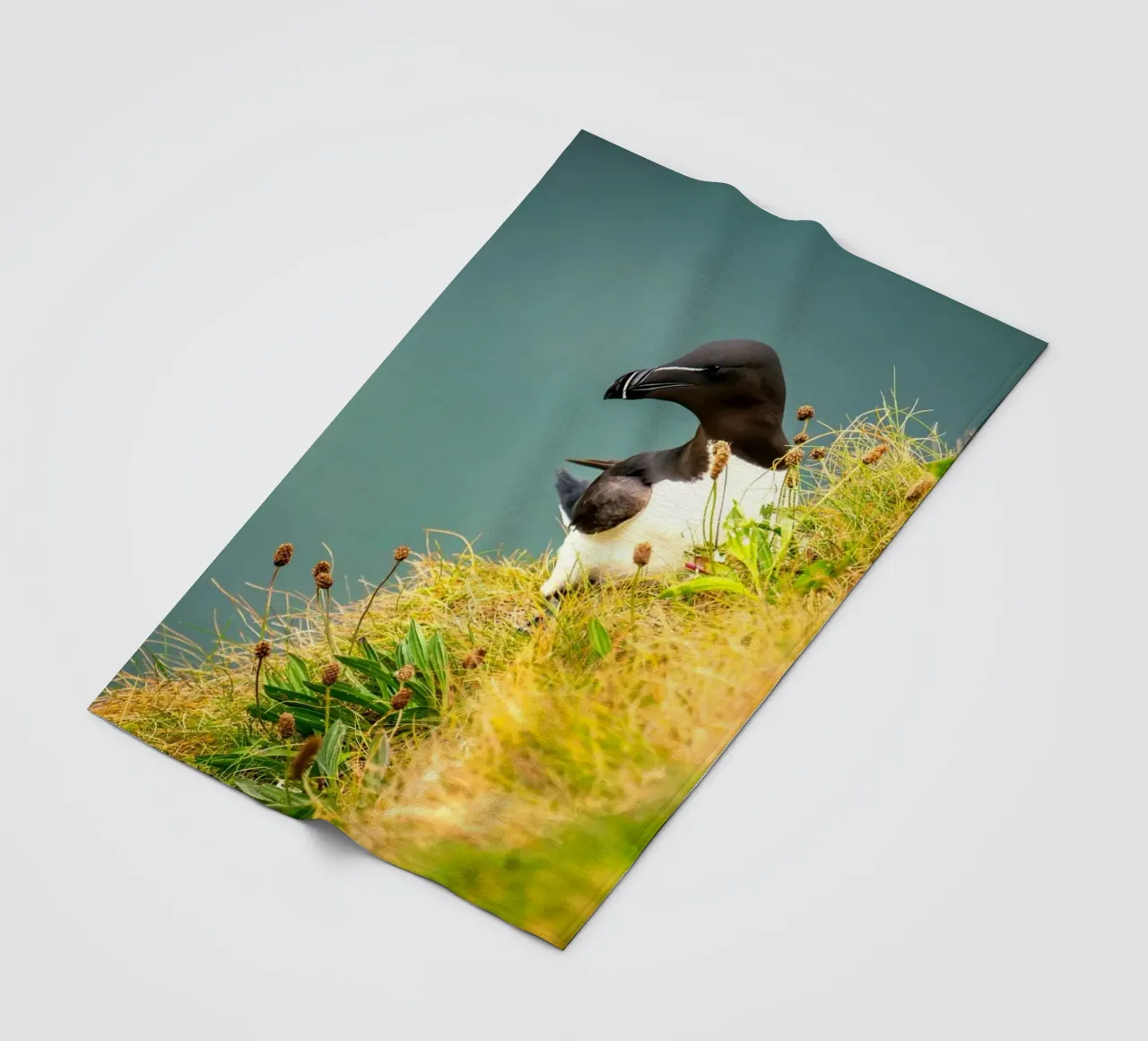 uccello erba coperta in pile da Earthly Visions