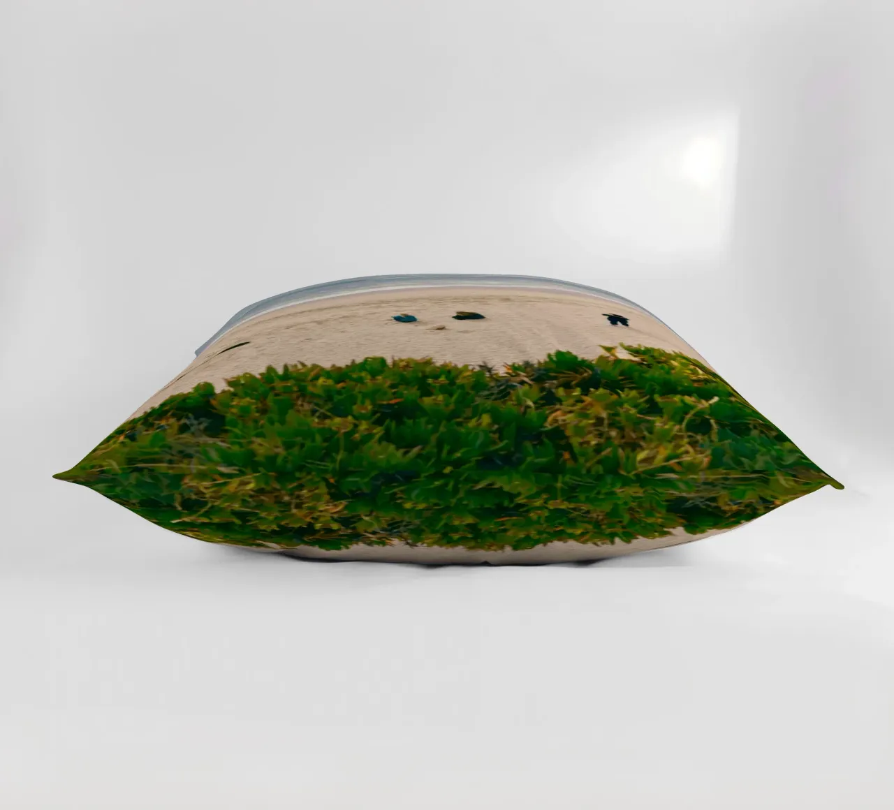 spiaggia oceano cuscino da Earthly Visions