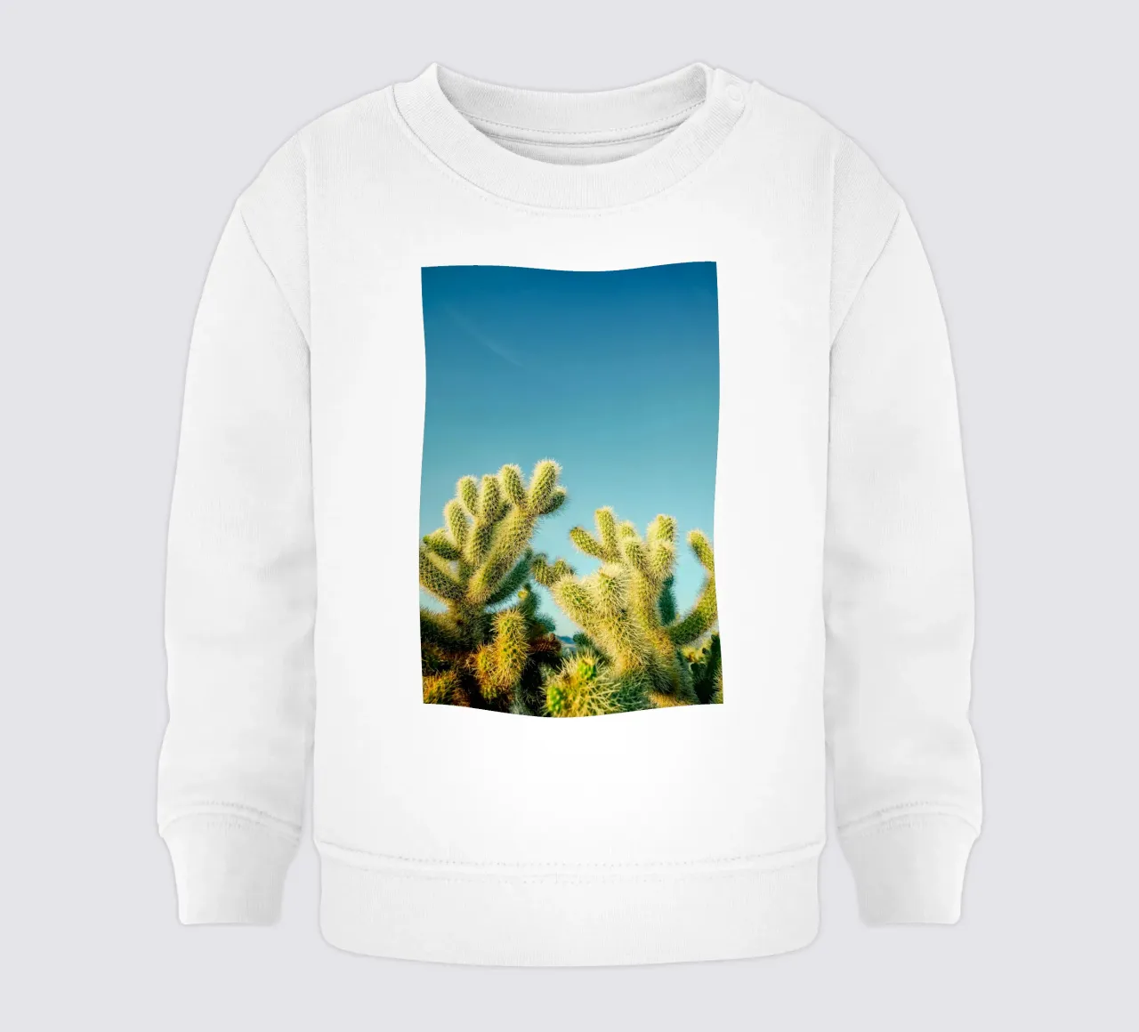cactus del deserto felpa neonato da Earthly Visions