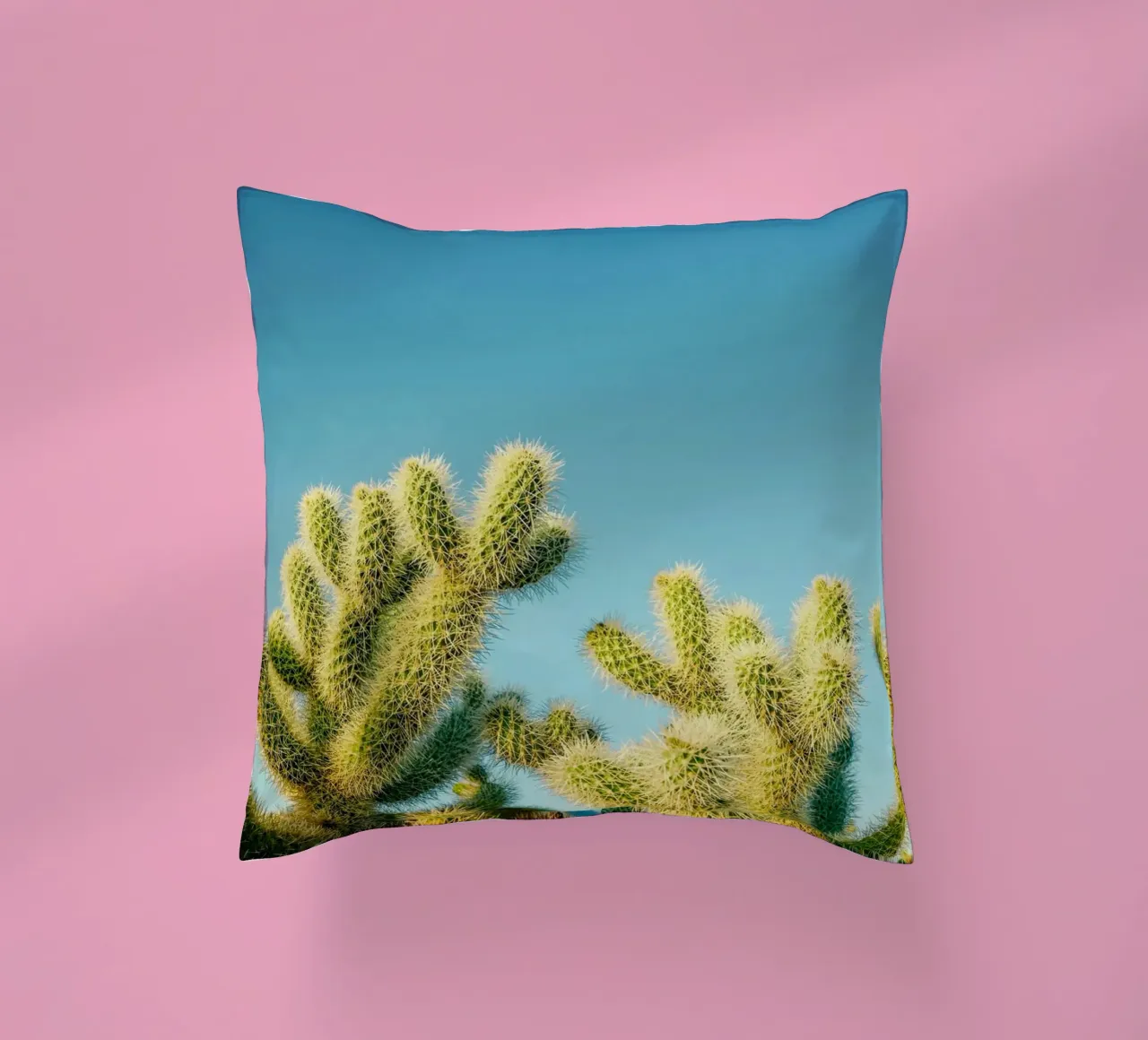 cactus del deserto cuscino da Earthly Visions