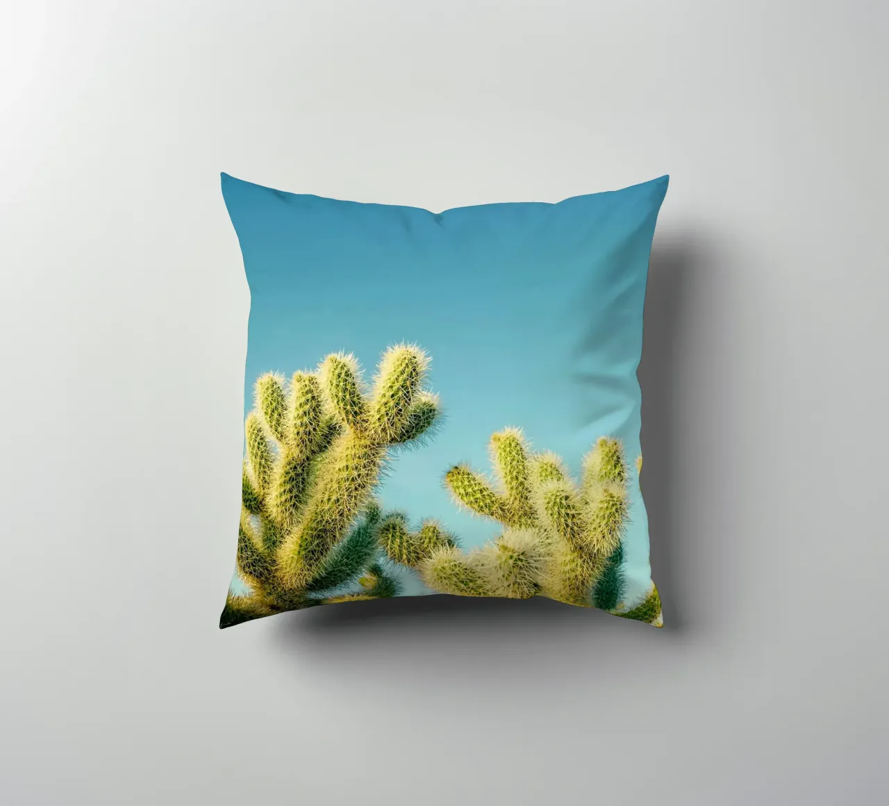 cactus del deserto cuscino da Earthly Visions
