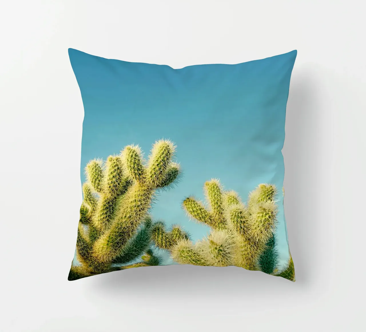 cactus del deserto cuscino da Earthly Visions