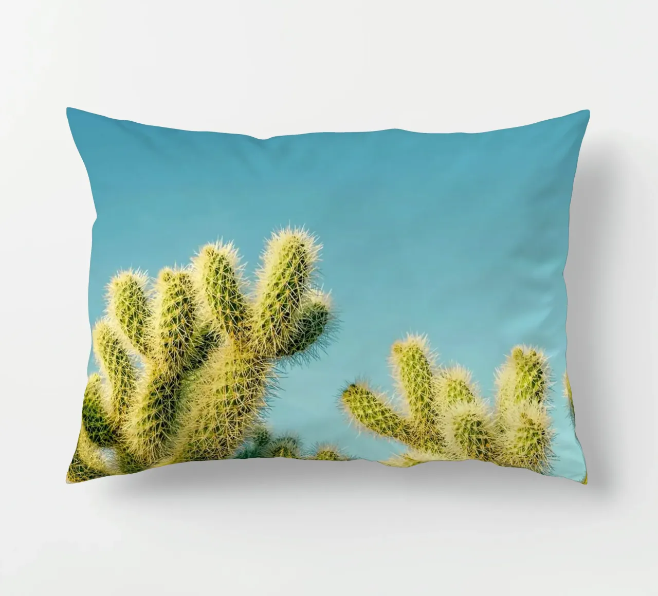 cactus del deserto cuscino da Earthly Visions