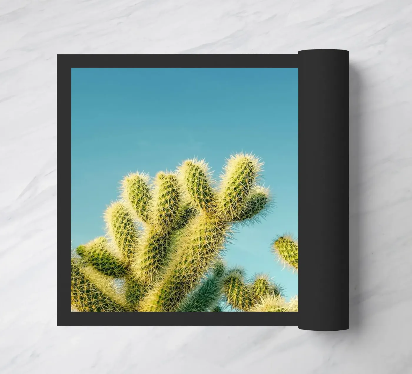 cactus desert doormat by Earthly Visions