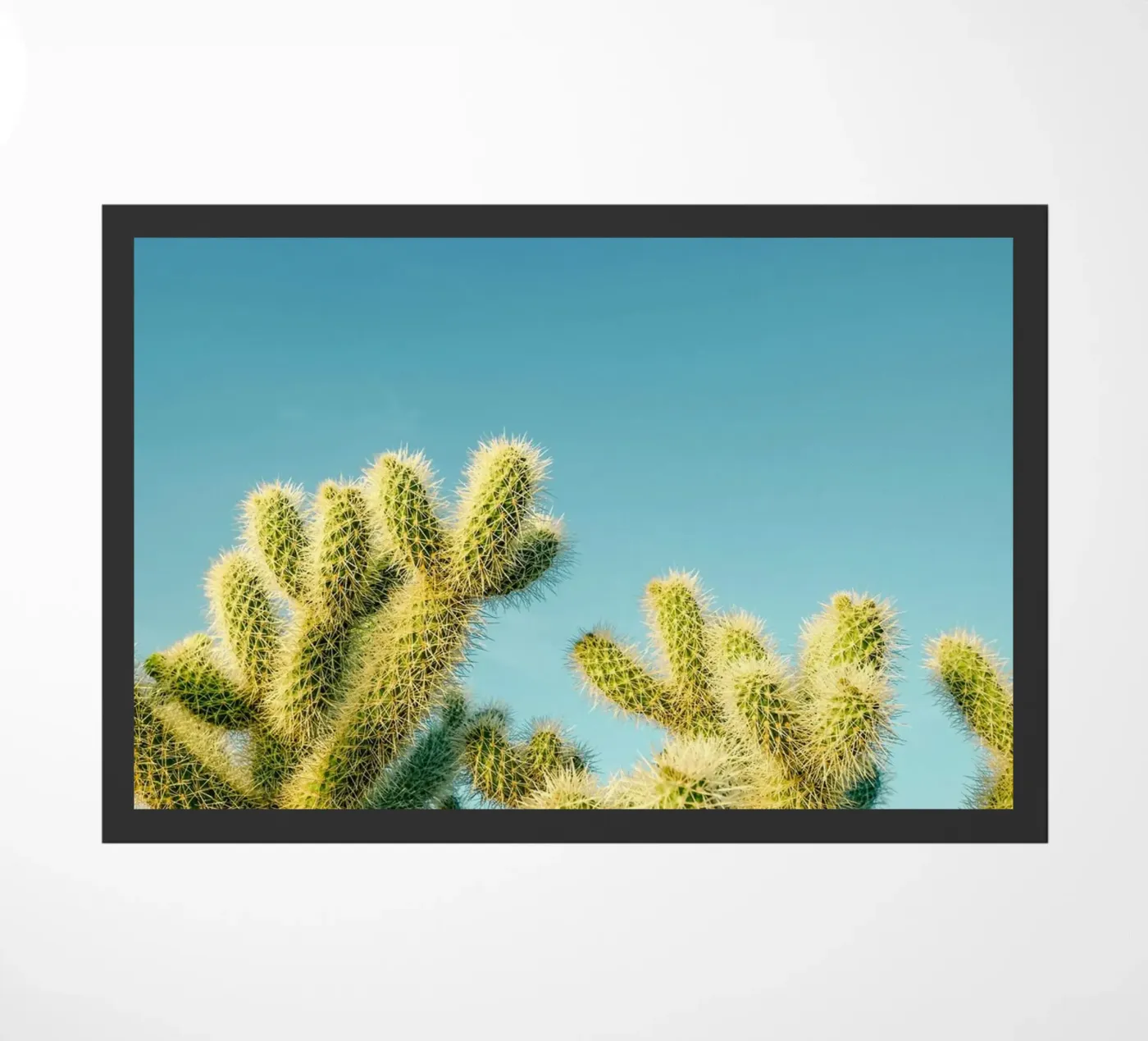 cactus desert doormat by Earthly Visions