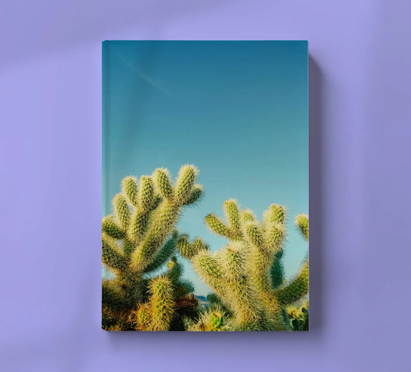 cactus desert notebook by Earthly Visions