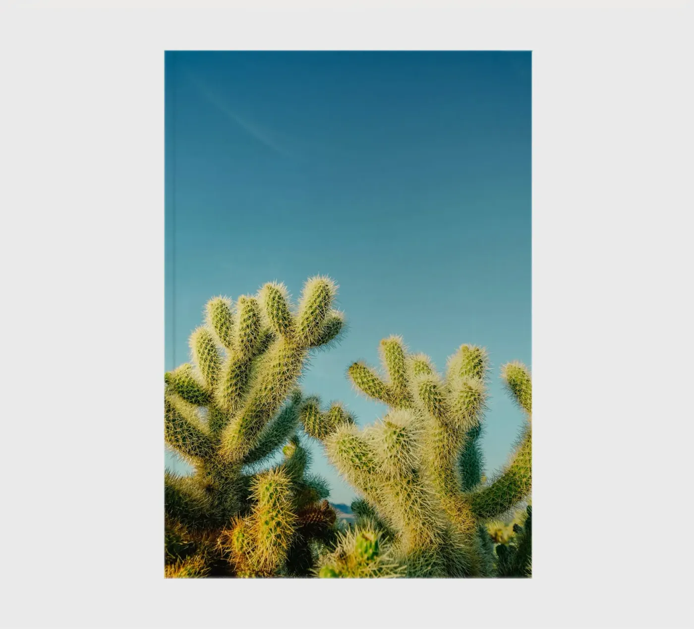 cactus desert notebook by Earthly Visions