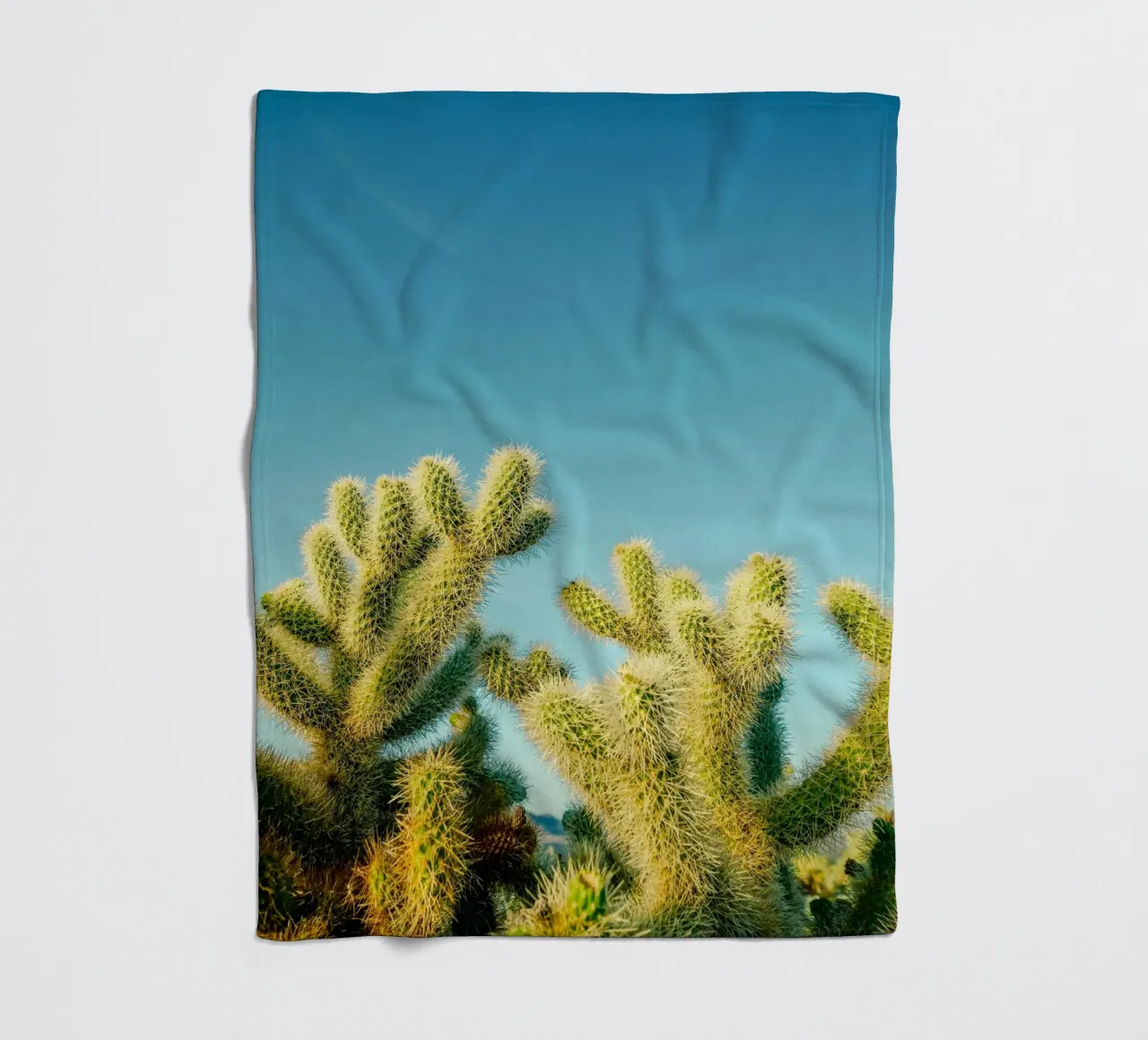 cactus del deserto coperta in pile da Earthly Visions