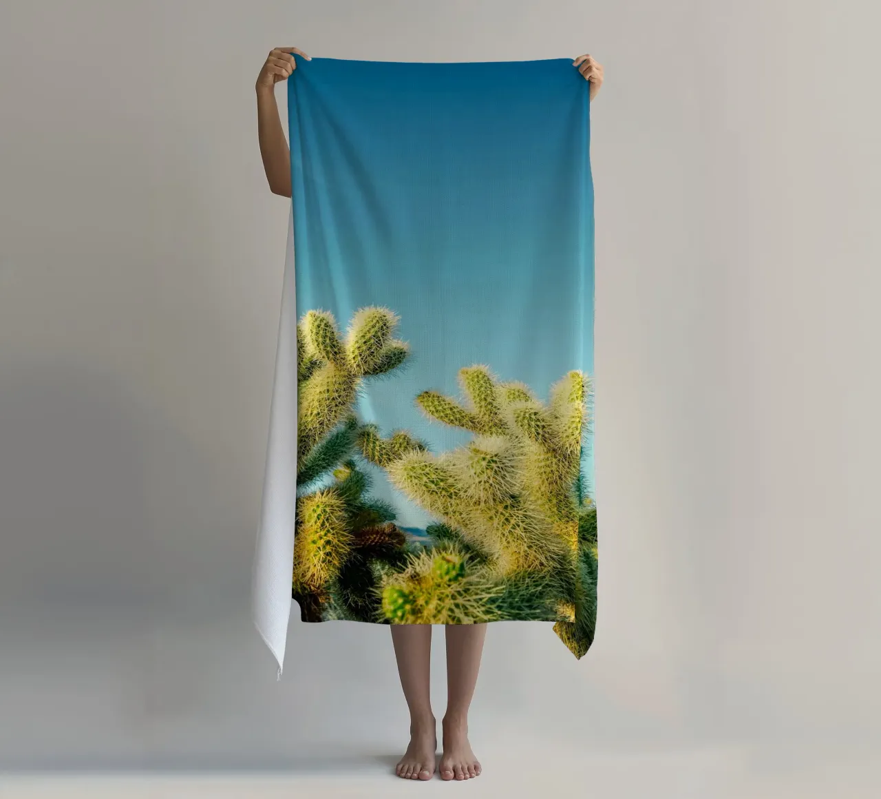 cactus del deserto telo mare da Earthly Visions