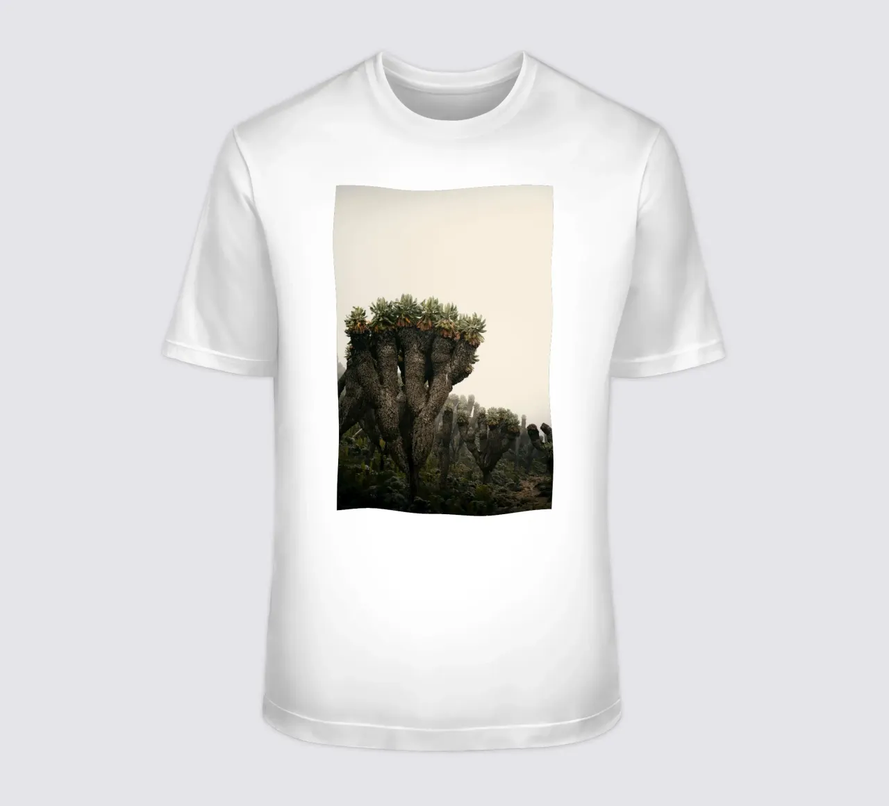 alieno arido t-shirt da Earthly Visions