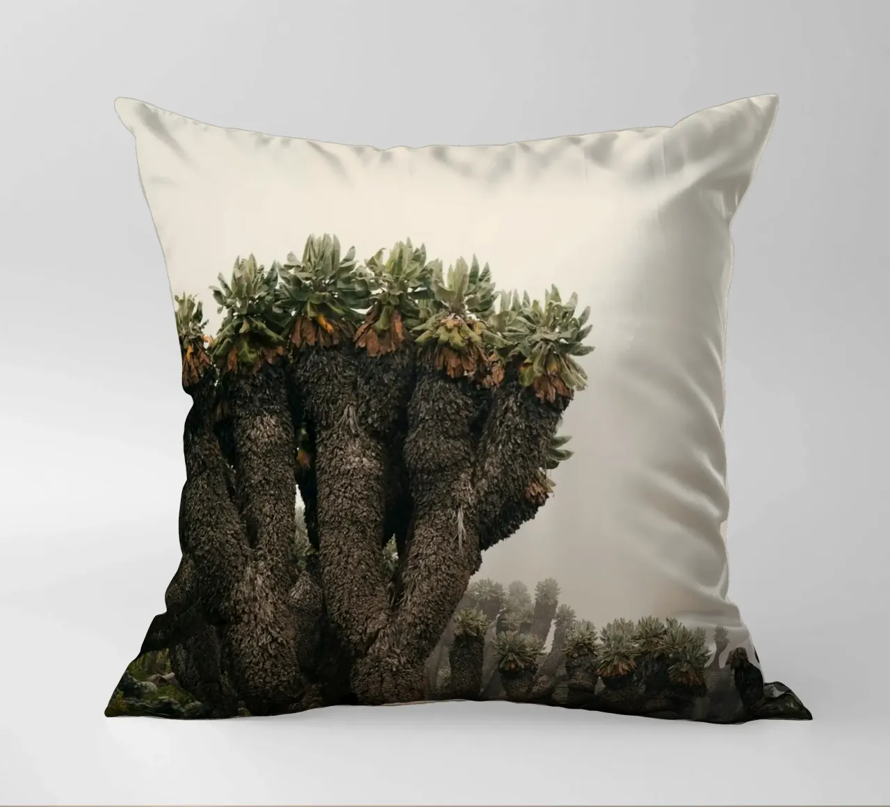 alieno arido cuscino da Earthly Visions