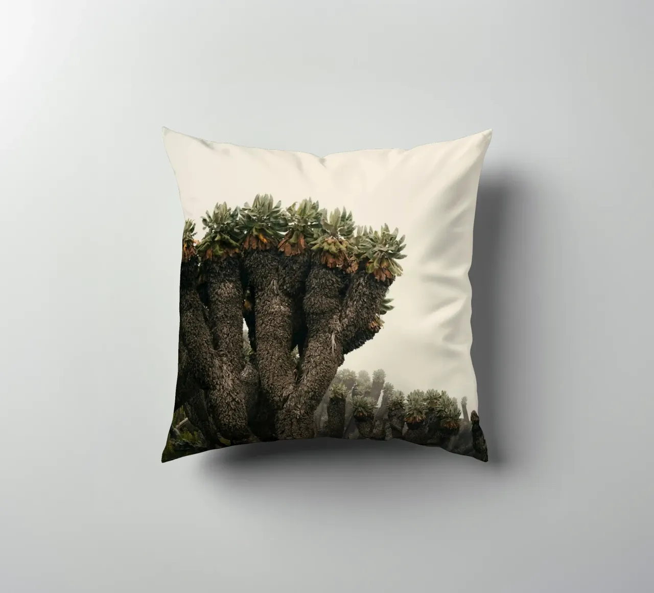 alieno arido cuscino da Earthly Visions