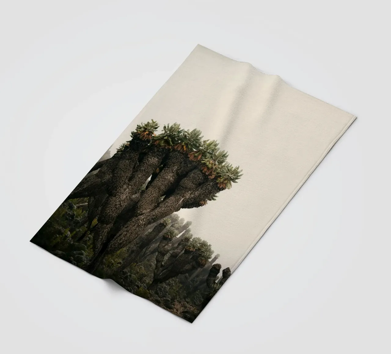 alieno arido coperta in pile da Earthly Visions